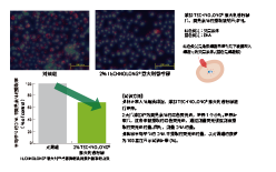 意大(dà)利香檸檬(圖2)