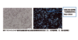 植物(wù)乳酸菌發酵米—SR(圖5)