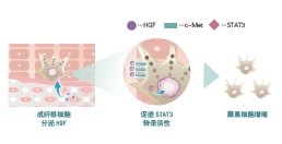 倍麗蘇®・F-QS(圖1)