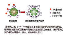 倍麗蘇®・F-QS(圖2)