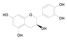 有(yǒu)機(jī)綠(lǜ)茶(圖1)