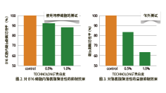 桑白(bái)皮(圖2)