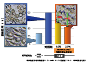 有(yǒu)機(jī)天百合提取液(圖2)