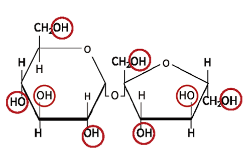 PureArt®CDC-1811(圖1)
