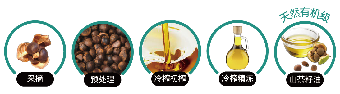 山(shān)茶籽油(圖1)